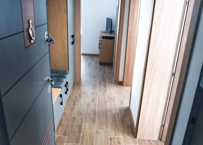 Sun * サンダンスキ