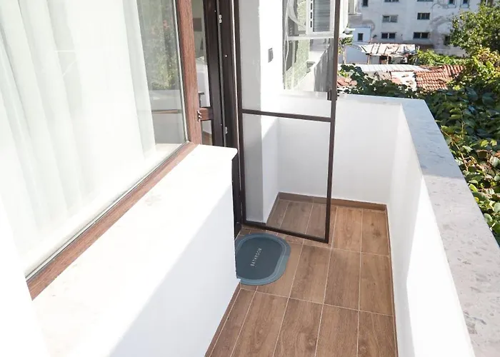 Sun サンダンスキ